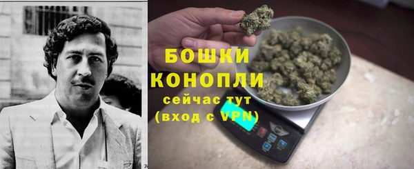 ГАЛЛЮЦИНОГЕННЫЕ ГРИБЫ Белокуриха