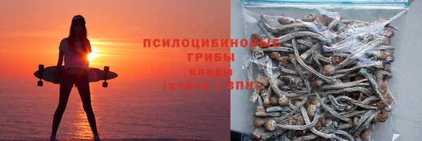mdpv Богданович