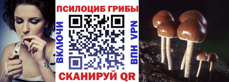 Галлюциногенные грибы Cubensis  Кольчугино 